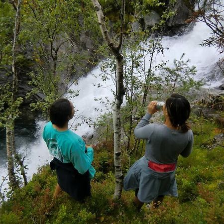 Sognevegen 2242 Διαμέρισμα Haugsvaer Εξωτερικό φωτογραφία