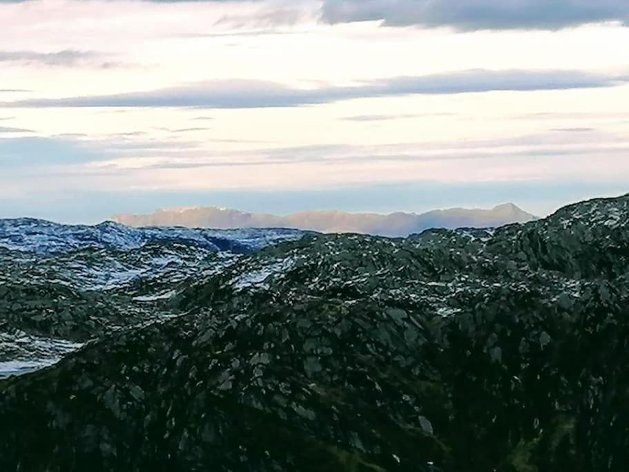 Sognevegen 2242 Διαμέρισμα Haugsvaer Εξωτερικό φωτογραφία
