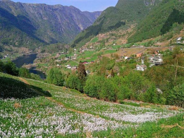 Sognevegen 2242 Διαμέρισμα Haugsvaer Εξωτερικό φωτογραφία